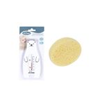 Banyo Seti (banyo Derecesi+banyo Süngeri)