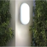 Banyo Tavan Lambası Aydos 20w Oval Beyaz Balkon Tavan Lambası 6400k Beyaz Led Işık Teras Duvar Lambası Beyaz