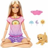 Barbie HHX6 Meditasyon Yapıyor Oyun Seti