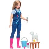 Barbie HRG42 Deluxe Veteriner Kariyer Bebek
