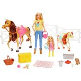 Barbie Mattel ® ve Chelsea Muhteşem Atları Oyun Seti ( 15 'ten fazla aksesuarlı) FXH15