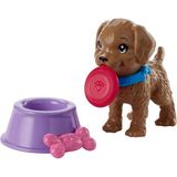 Barbie nin Köpeği Ve Aksesuarları