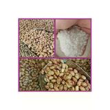 Barbunya 1Kg Börülce 1 Kg Pirinç 1 Kg Net 3 Kg