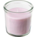 Bardakta Kokulu Mum, Pembe, 20 Saat, Yasemin - 1 Adet