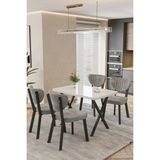 Baresmu Barel Elma Mutfak Masa Takımı 4 Sandalyeli – 120X80 Suntalam Masa Siyah Metal Ayak Modern Yemek Masası Takımı - Gri - Beyaz