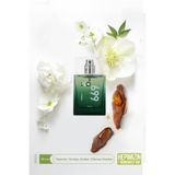Bargello Parfum No 669 Erkek Parfüm 50 Ml Edp