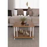 Barin Design Modern Kare Orta Sehpa Çift Katlı Beyaz Metal Ayaklı Salon, Ofis, Dekoratif Masa - Atlantik Çam