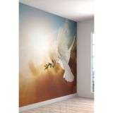 Barış Güvercini Zeytin Dalı Desenli Duvar Kağıdı-Digital Baskılı Silinebilir Duvar Kağıdı, 500 x 280