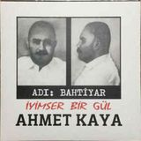 Barış Müzik Ahmet Kaya – Adı Bahtıyar – Iyımser Bır Gül – Vinyl, Lp, Album, – Plak