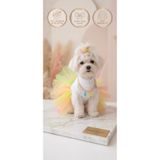 Barneystore Kedi Köpek Özel Tasarım Jelibon Kolyeli Tütü Elbise