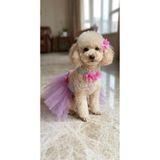 Barneystore Kedi Köpek Tütü Etek, Boyunluk Ve Tokası