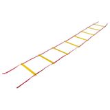 Barrett Art SL4LP 4 Metre Düz Antrenman Merdiveni