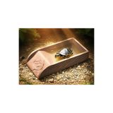 barsdepo Kaplumbağa ve Sürüngenler İçin Doğal Görünümlü Banyo & Su Kabı – Terraryum Aksesuarı