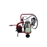 Bartech Yaprak Tekli İnek Süt Sağım Makinası, 30 Litre Krom Güğüm