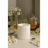 Basement : Black Tea : Dekoratif % 100 Soya Beton Mum (Siyah Çay, Papatya, Limonel) - 1 Adet