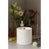 Basement : Ginger Blossom : % 100 Soya Beton Mum (Zencefil Çiçeği, Papatya, Lavanta, Gül) - 1 Adet