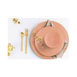 Basic Kase 6 Lı Set Somon Pembe - 15 cm