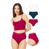 Basic Yüksek Bel Lazer Kesim Bikini Külot 3'lü Paket
