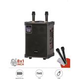 Başkenttekno D71 Profesyonel Çift Mikrofonlu Kablosuz Hoparlör 8 inç 40W Bass Ses Kutusu USB Girişi