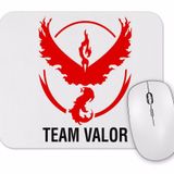 Baskı Dükkanı Team Valor Mouse Pad