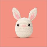 Başlangıç Seviyesi Amigurumi Tavşan Örgü Seti, El Yapımı Oyuncak