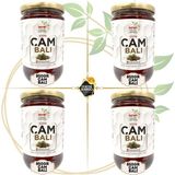 Baştan Yöresel 4 adet 850gr Çam Balı - 4 kg