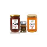 Baştan Yöresel 850gram Yayla Çam Balı, 850gram Yayla Çiçek Balı 100gram Polen