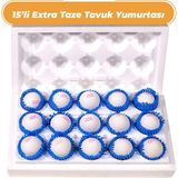 Baştarım Taze Tavuk Yumurtası 15'li