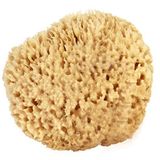 Bath & Shower Express ® Doğal Yenilenebilir Kaynaktan Deniz Yünü Sünger 12,7-15,24 cm (Büyük)