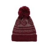 Bay Şapkacı 6914 Bordo Kadın Bere