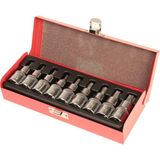 Bay-Tec Pcs 1/2 Torx Lokma Takımı (Erkek)