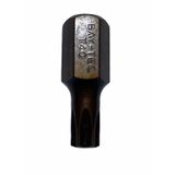 Bay-Tec Tork Otomotiv T40 30 mm Bits Uç