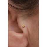 Bayar Gold 14 Ayar Altın İçi Boş Yıldız Tragus Piercing