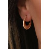 Bayar Gold 14 Ayar Altın İstiridye Küpe 2 cm