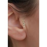 Bayar Gold 14 Ayar Altın Taşlı Dal Tragus
