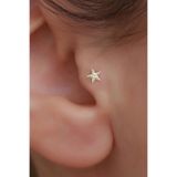 Bayar Gold 14 Ayar Altın Taşlı Deniz Yıldızı Tragus Piercing