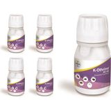 Bayer K-Othrine 50 ml Losyon Hamam Böceği İçin Hızlı Sonuç ve Güçlü Formül