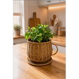 Bayev Favorite Rattan Fincan Model İçi Poşetli Saksı Sepet Büyük Boy Saksılık Hasır Dekor Sepeti Düzenleyici Organizer