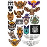 Baykuş Owl Sticker Set-16 17 Parça Telefon, Tablet, Defter, Laptop Sticker