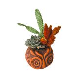 Baykuş Şekilli Saksıda Kaktüs Aranjmanı 15 Cm