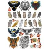 Baykuş Sticker Set 20 Parça Telefon, Tablet, Defter, Laptop Sticker