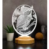 Baykuş Tasarımlı Kişiye Özel 3D Led Gece Lambası – Dekoratif Lamba, Baykuş Severlere Masa Lambası, Hayvan Temalı Işıklı Hediye