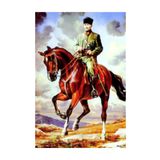 bayrakal Atatürk Resmi Raşel Kumaş 150x225cm.