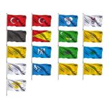 BAYRAKAL Eski Türk Devlet Bayrakları Seti 15 x 22,5 cm 17 Adet Raşel Kumaş Renkli Bayraklar