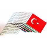 BAYRAKAL Eski Türk Devlet Bayrakları Sopalı 70x105cm; 17li Devlet Bayrakları