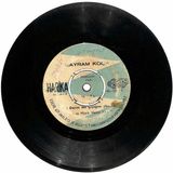 Bayram Koca - Ne Dalım Ne Çiçeğim Bmda Taş Varken Plak (105.5) PLK19994
