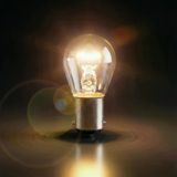 Baz15d/7225 21/4W 12V Çapraz Tırnak Fren Park Lambası Ampulü Çift Duy 1 Adet Gün Işığı
