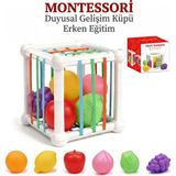 Bbsky Montessori Eğitici Bebek Oyuncakları - 10+ Ay Duyusal Gelişim Küpü, Renkli Meyve ve Şekil Eşleştirme Seti, Ilk Doğum Günü Hediyesi - Beyaz - Mavi
