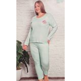 BDK Büyük Beden Kışlık Kadın Pijama Takımı Gri - Mint Yeşili - 2XL