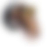 BDSM Plastik kisisel urun Kafesi